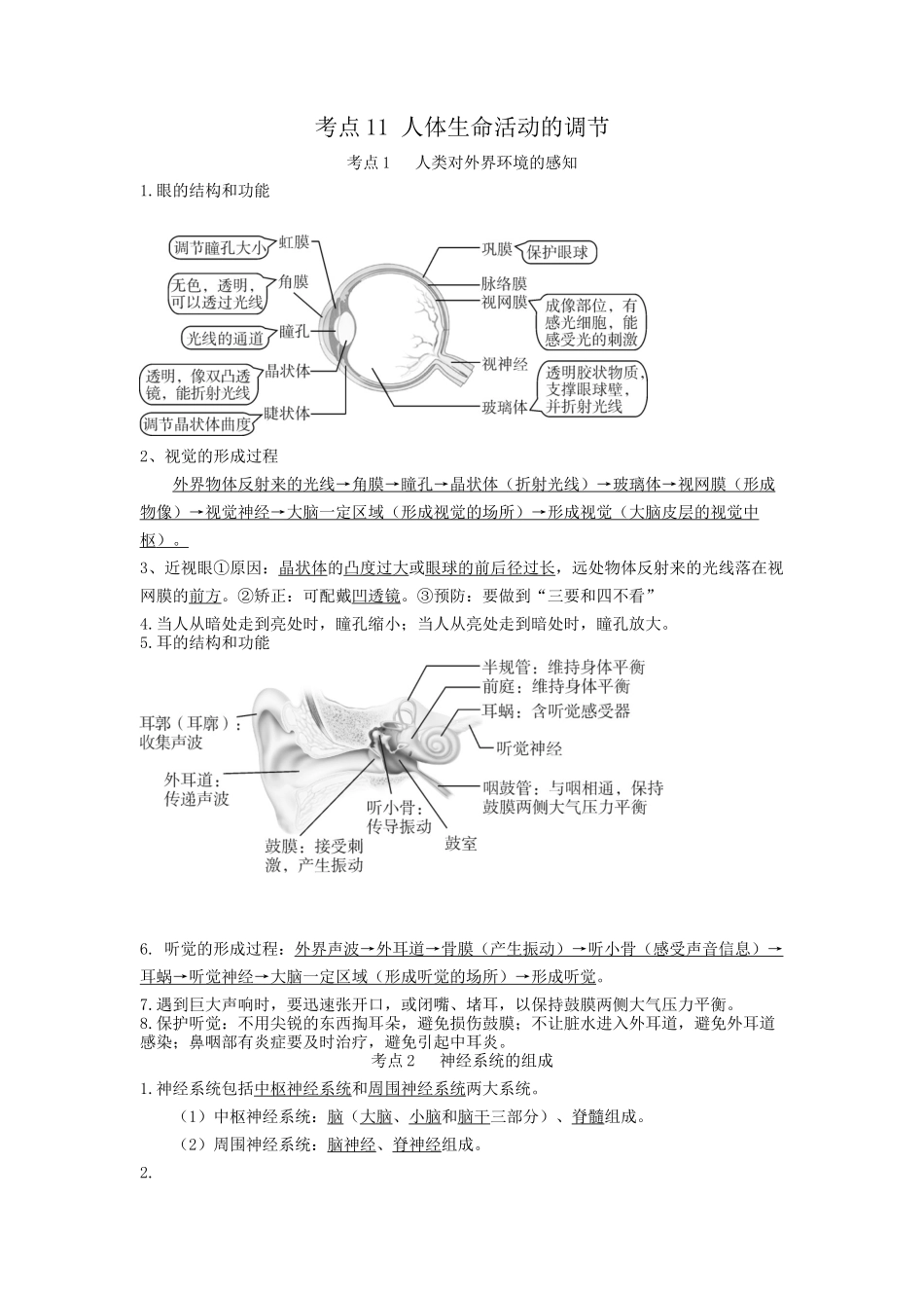 专题11 人体生命活动的调节（知识）-备战2023年中考生物一轮复习考点（全国通用）.docx_第1页