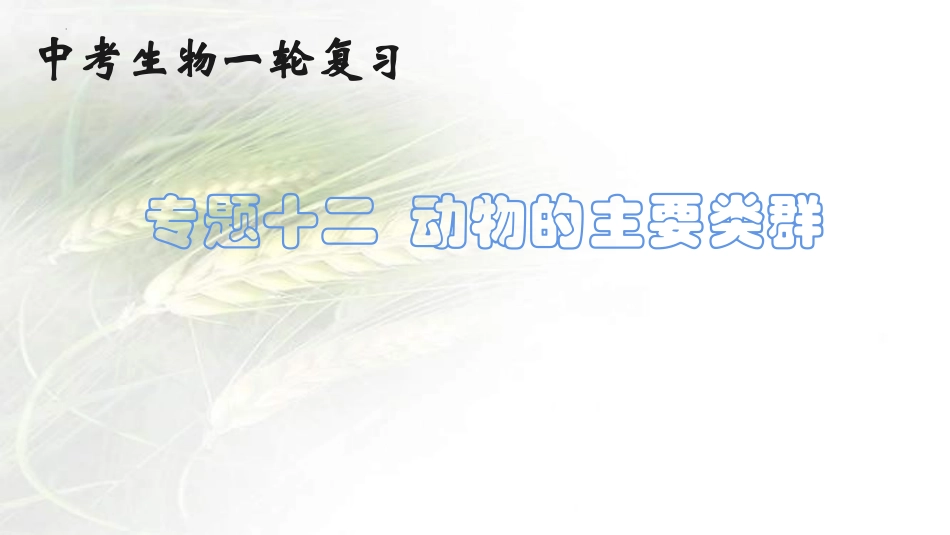 专题12 动物的主要类群（课件）-备战2023年中考生物一轮复习考点（全国通用）.pptx_第1页