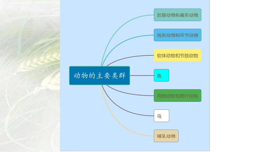 专题12 动物的主要类群（课件）-备战2023年中考生物一轮复习考点（全国通用）.pptx_第2页