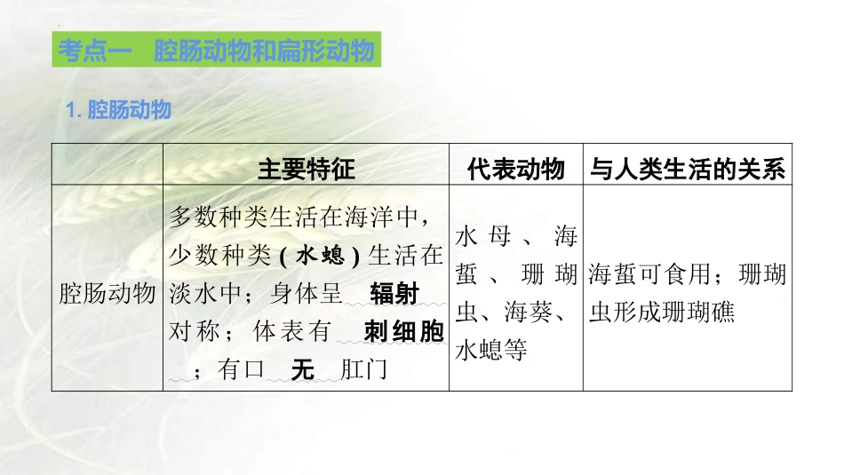 专题12 动物的主要类群（课件）-备战2023年中考生物一轮复习考点（全国通用）.pptx_第3页