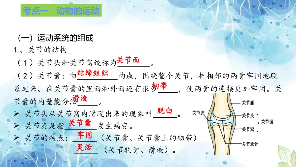 专题13 动物的运动和行为（课件）-备战2023年中考生物一轮复习考点（全国通用）.pptx_第3页