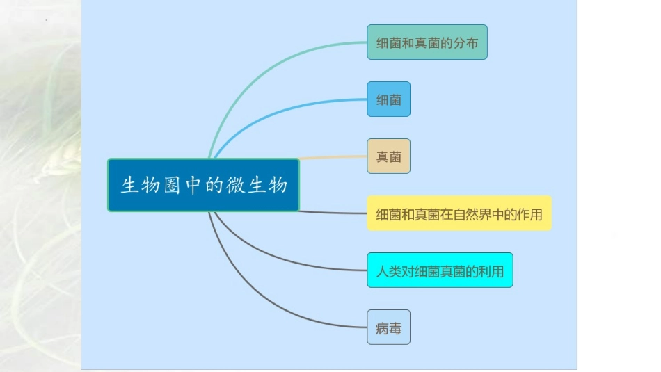 专题14 生物圈中的微生物（课件）-备战2023年中考生物一轮复习考点（全国通用）.pptx_第2页