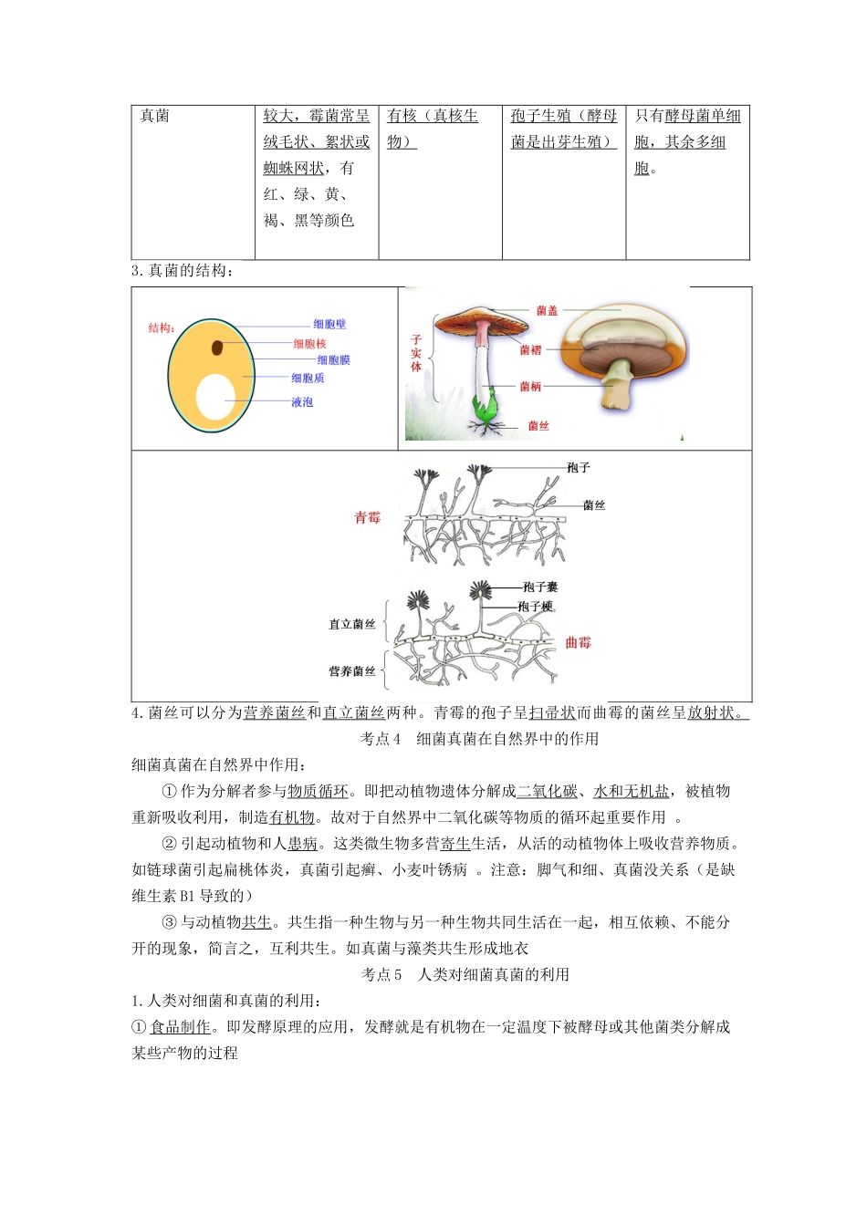 专题14 生物圈中的微生物（知识）-备战2023年中考生物一轮复习考点（全国通用）.docx_第2页