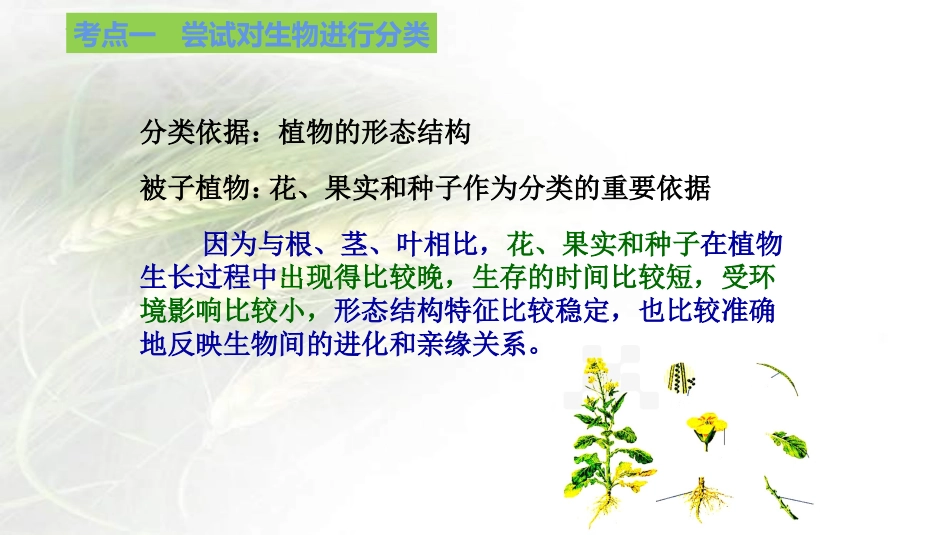 专题15 生物的多样性及其保护（课件）-备战2023年中考生物一轮复习考点（全国通用）.pptx_第3页