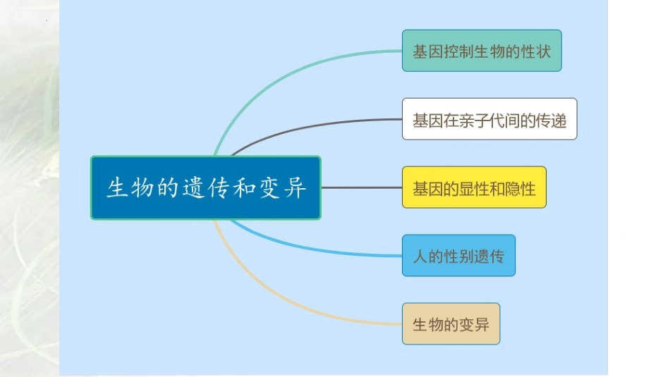专题16 生物的遗传和变异（课件）-备战2023年中考生物一轮复习考点（全国通用）.pptx_第2页