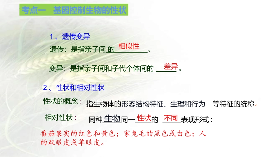 专题16 生物的遗传和变异（课件）-备战2023年中考生物一轮复习考点（全国通用）.pptx_第3页