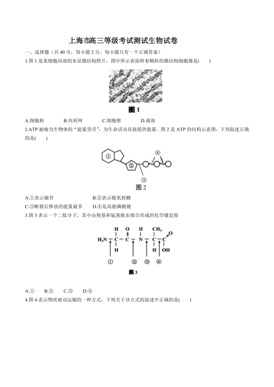 【年级上册海市】高三等级考试测试试卷生物试卷及答案.pdf_第1页