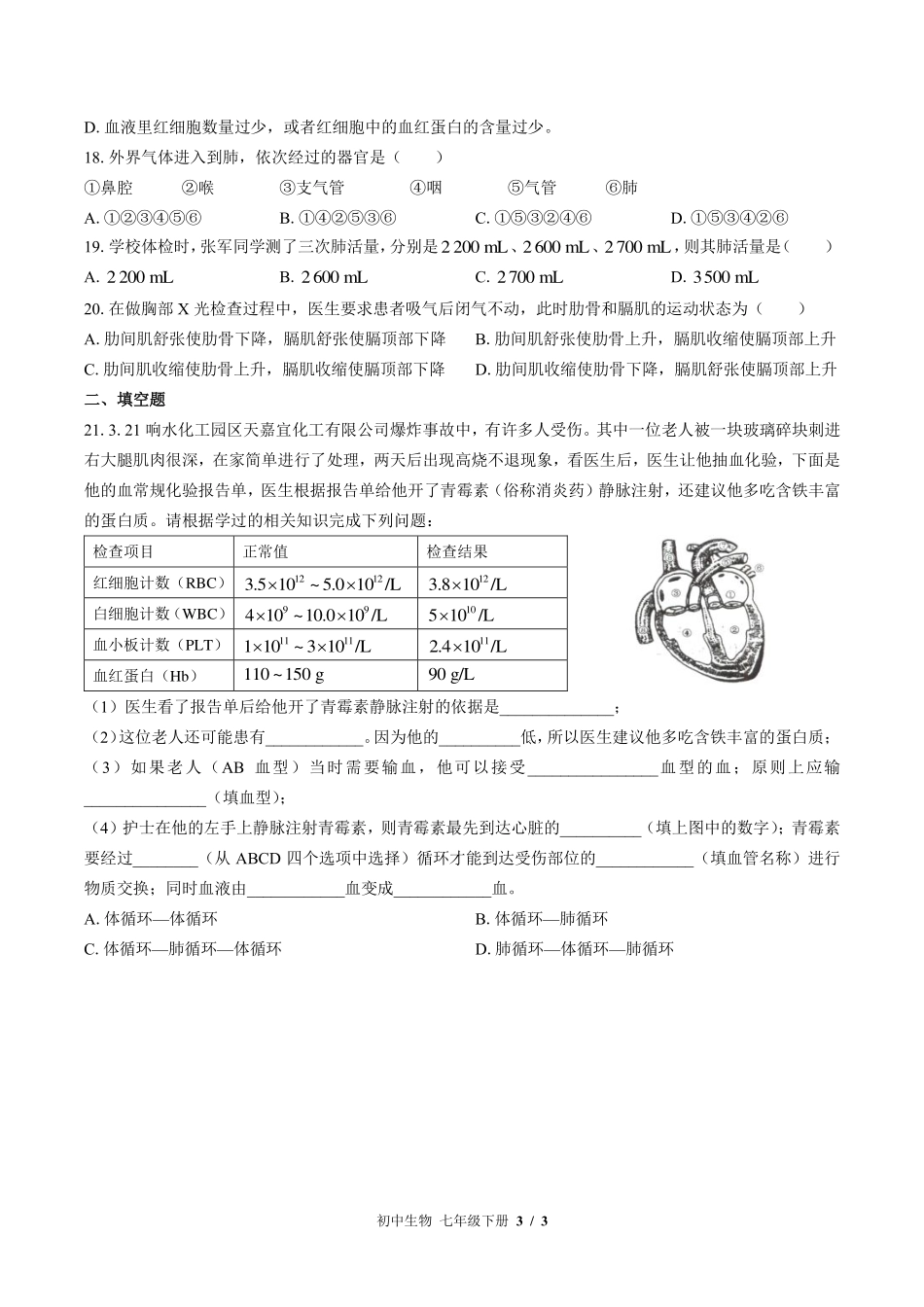 苏教版初中生物七年级下册期中测试试卷-含答案03.pdf_第3页