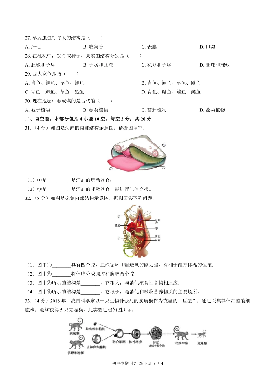 苏教版初中生物七年级下册期末测试试卷-含答案03.pdf_第3页