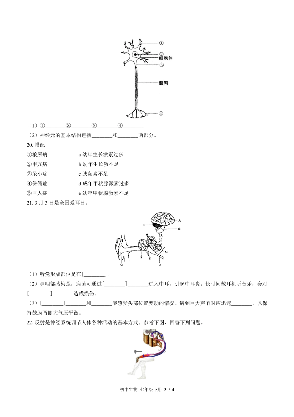 苏教版初中生物七年级下册第十二章综合测试试卷-含答案02.pdf_第3页