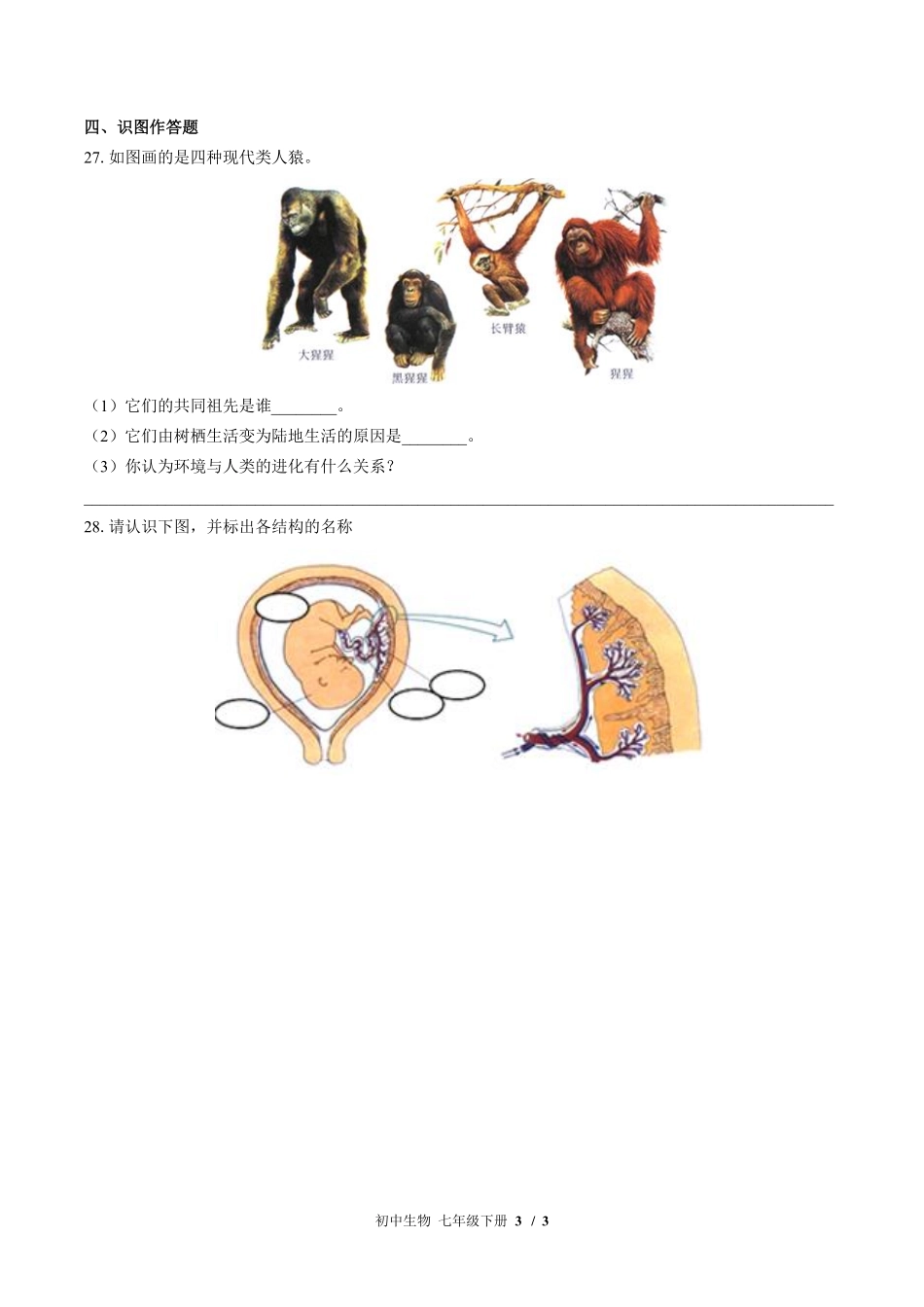 苏教版初中生物七年级下册第八章综合测试试卷-含答案02.pdf_第3页