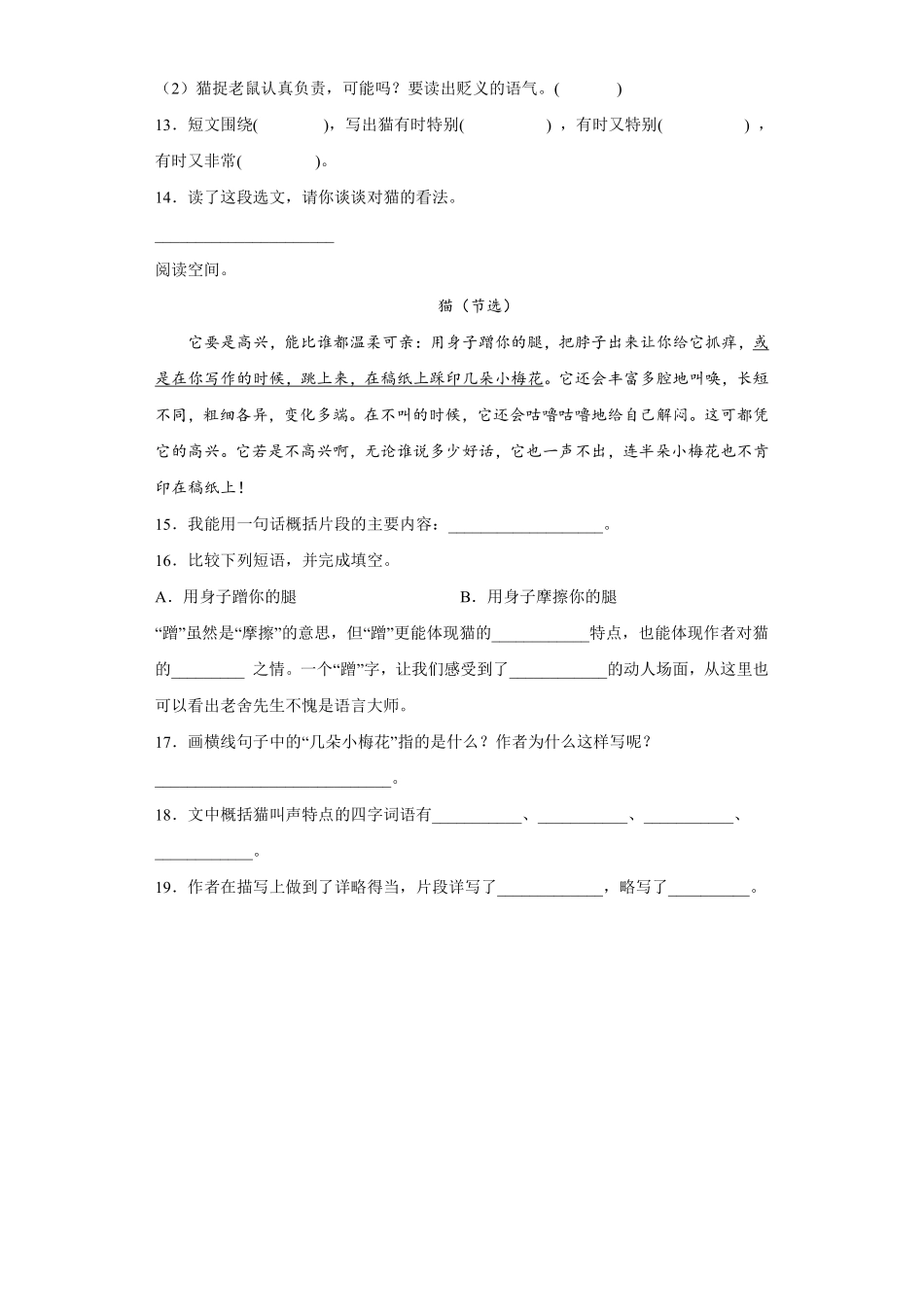 四年级下册语文部编版猫课时练习含答案2.pdf_第3页