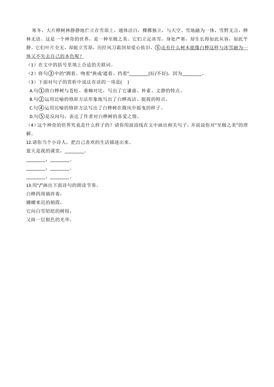 四年级下册语文部编版白桦课时练习含答案1.pdf_第3页