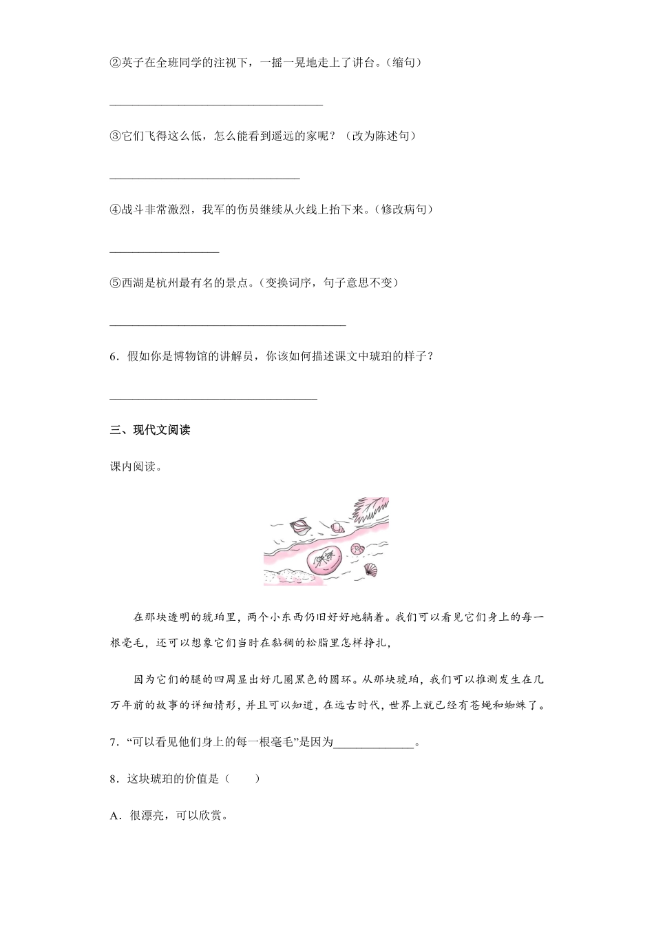 四年级下册语文部编版琥珀课时练习含答案11.pdf_第2页