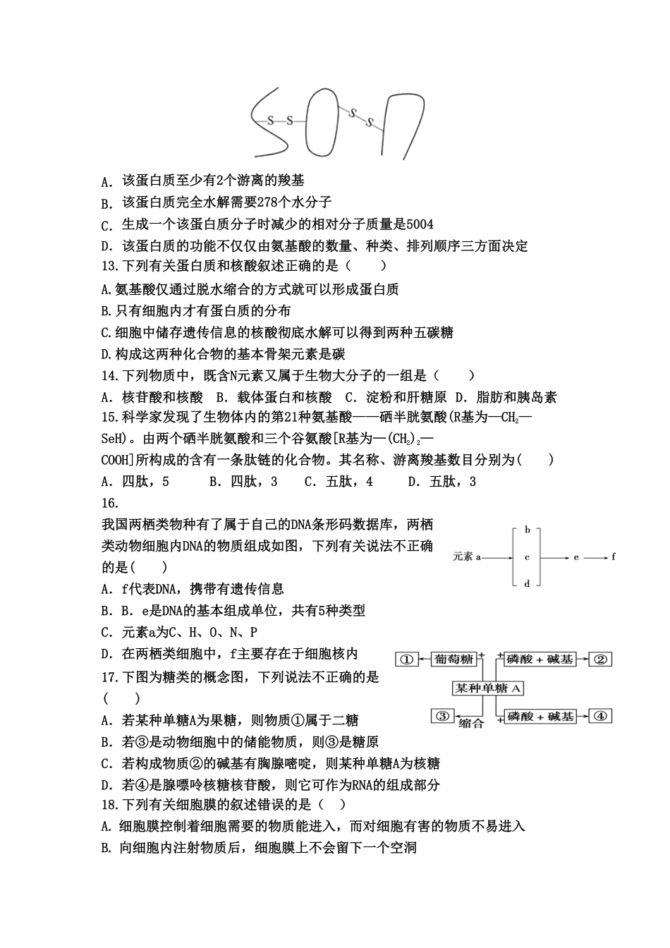 山东省宁阳一中高一上学期期中考试生物含答案.pdf_第3页