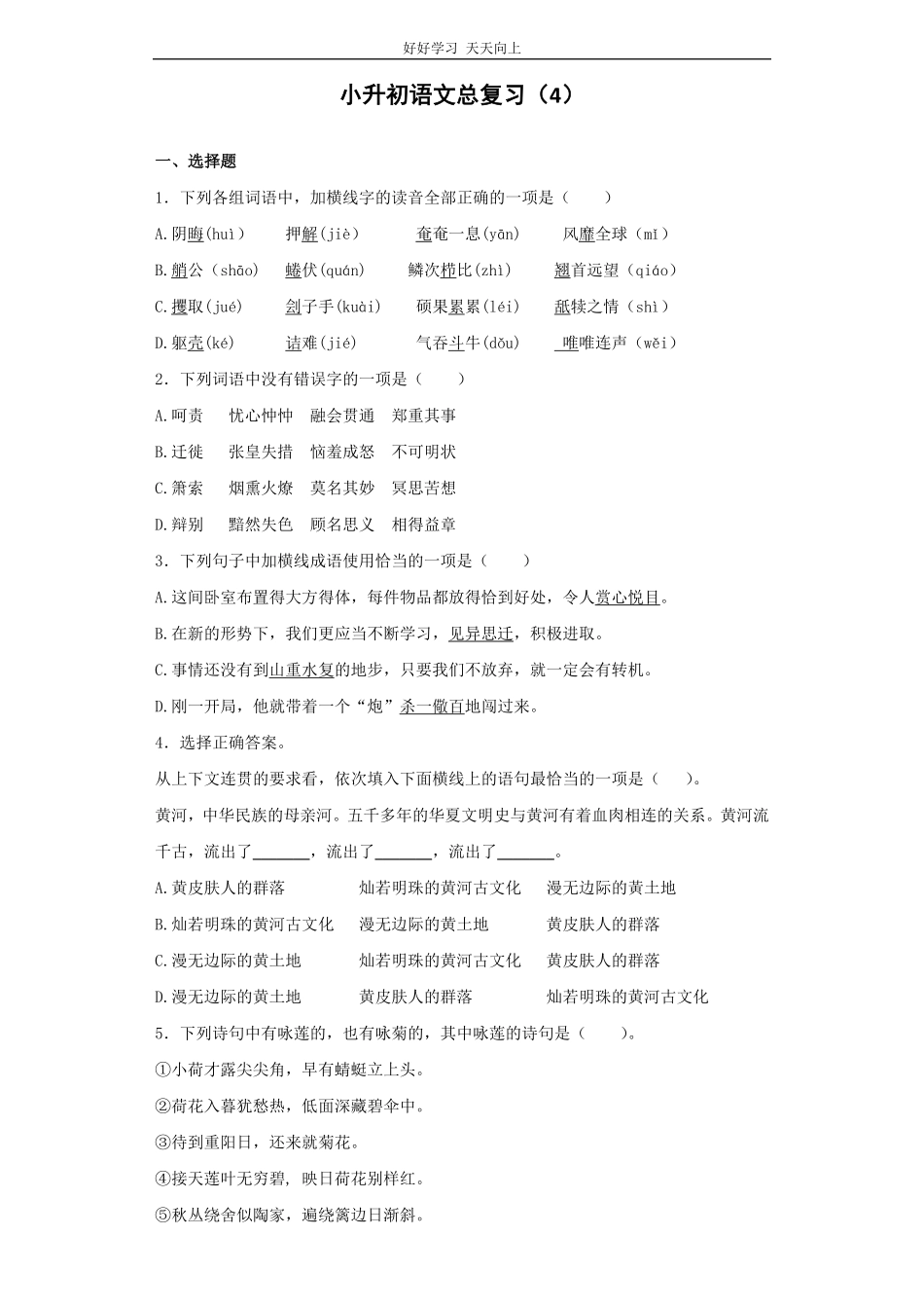 小升初语文知识专项训练-总复习3.pdf_第1页