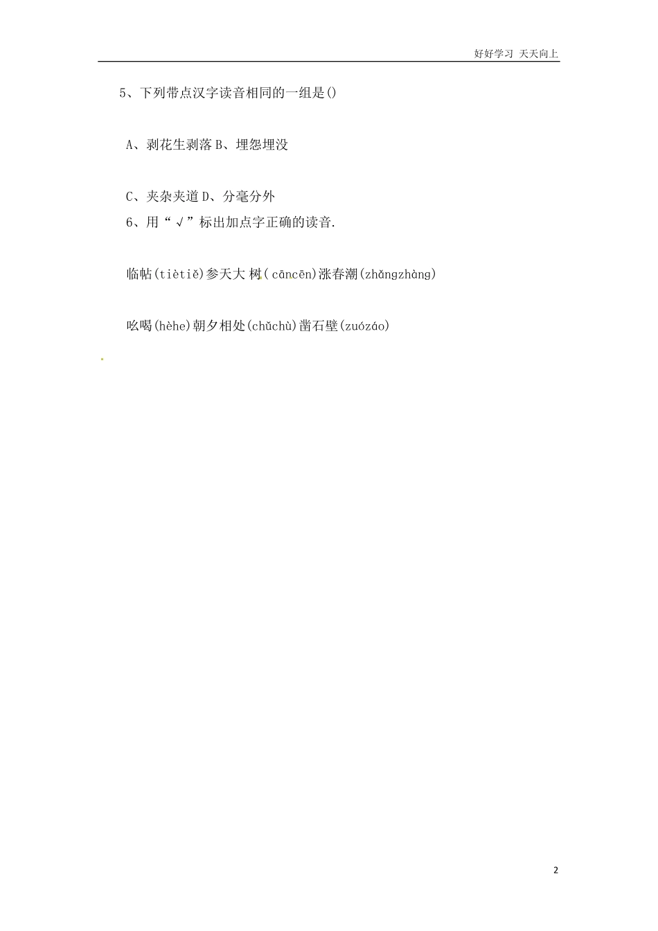 小升初语文知识点专项练习-字音.pdf_第2页
