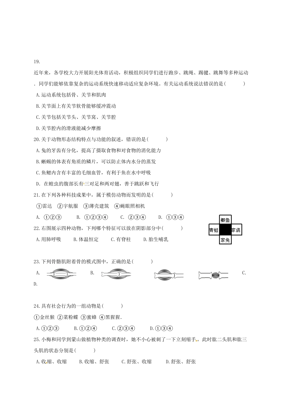人教版生物八年级上册期中测试卷15（含答案含答案.pdf_第3页