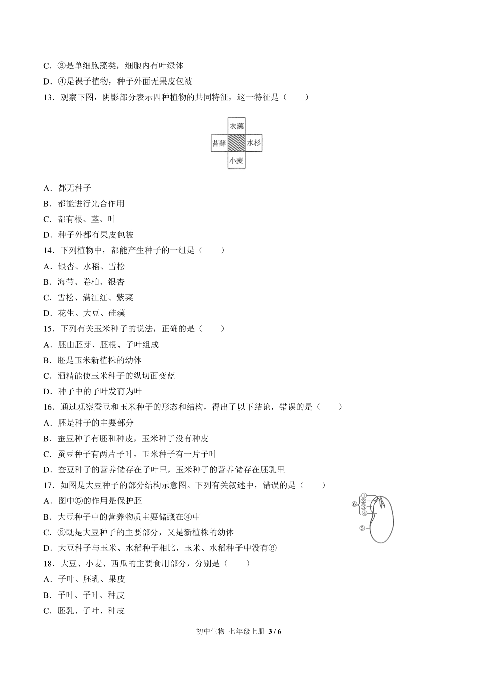 人教版初中生物七年级上册第三单元第一章综合测试试卷-含答案02.pdf_第3页