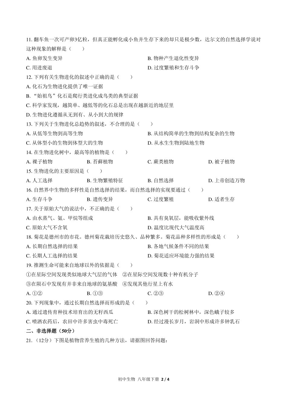 人教版初中生物八年级下册期中测试试卷-含答案02.pdf_第2页