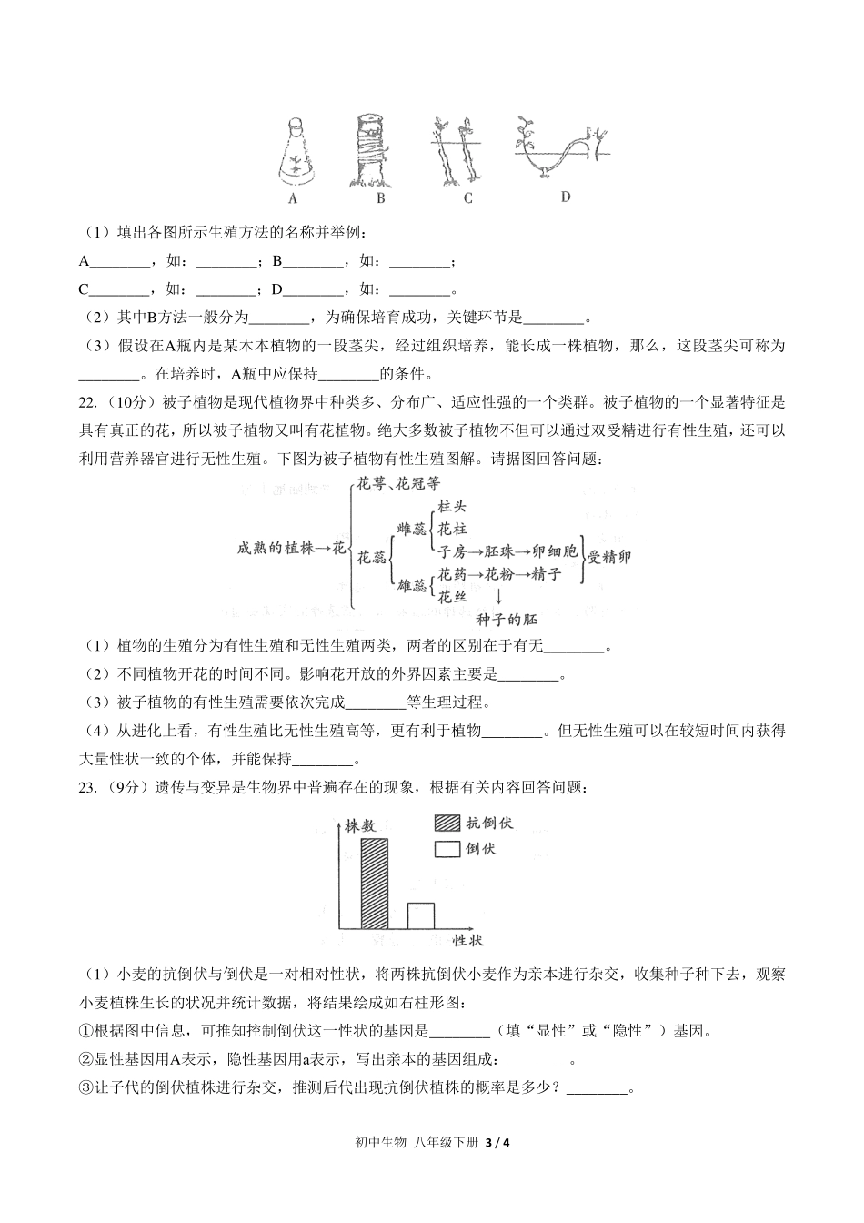 人教版初中生物八年级下册期中测试试卷-含答案02.pdf_第3页