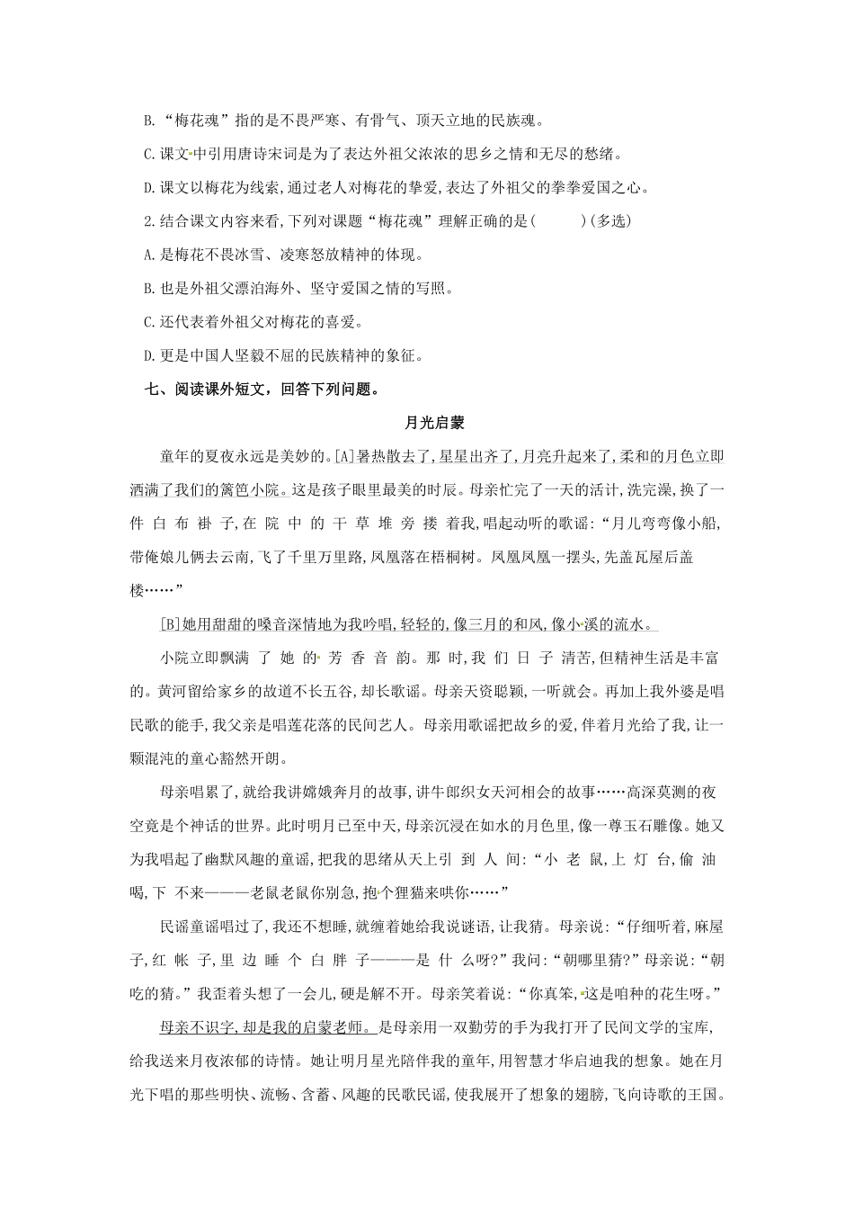 五年级下册语文部编版梅花魂课时练习含答案1.pdf_第2页