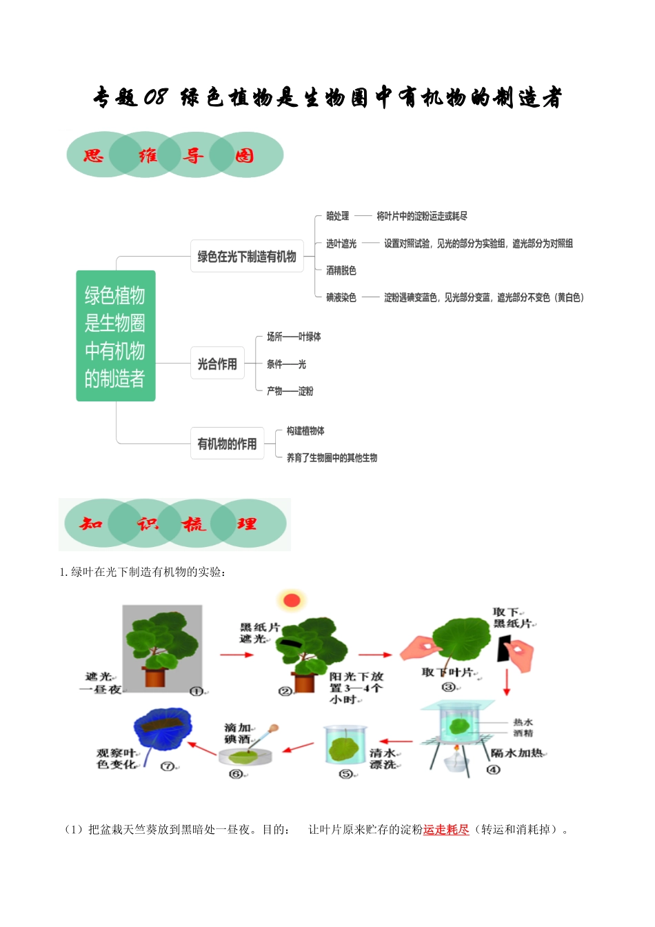 专题08绿色植物是生物圈中有机物的制造者（知识清单七年级生物上册期末考点大串讲（人教版含答案.pdf_第1页