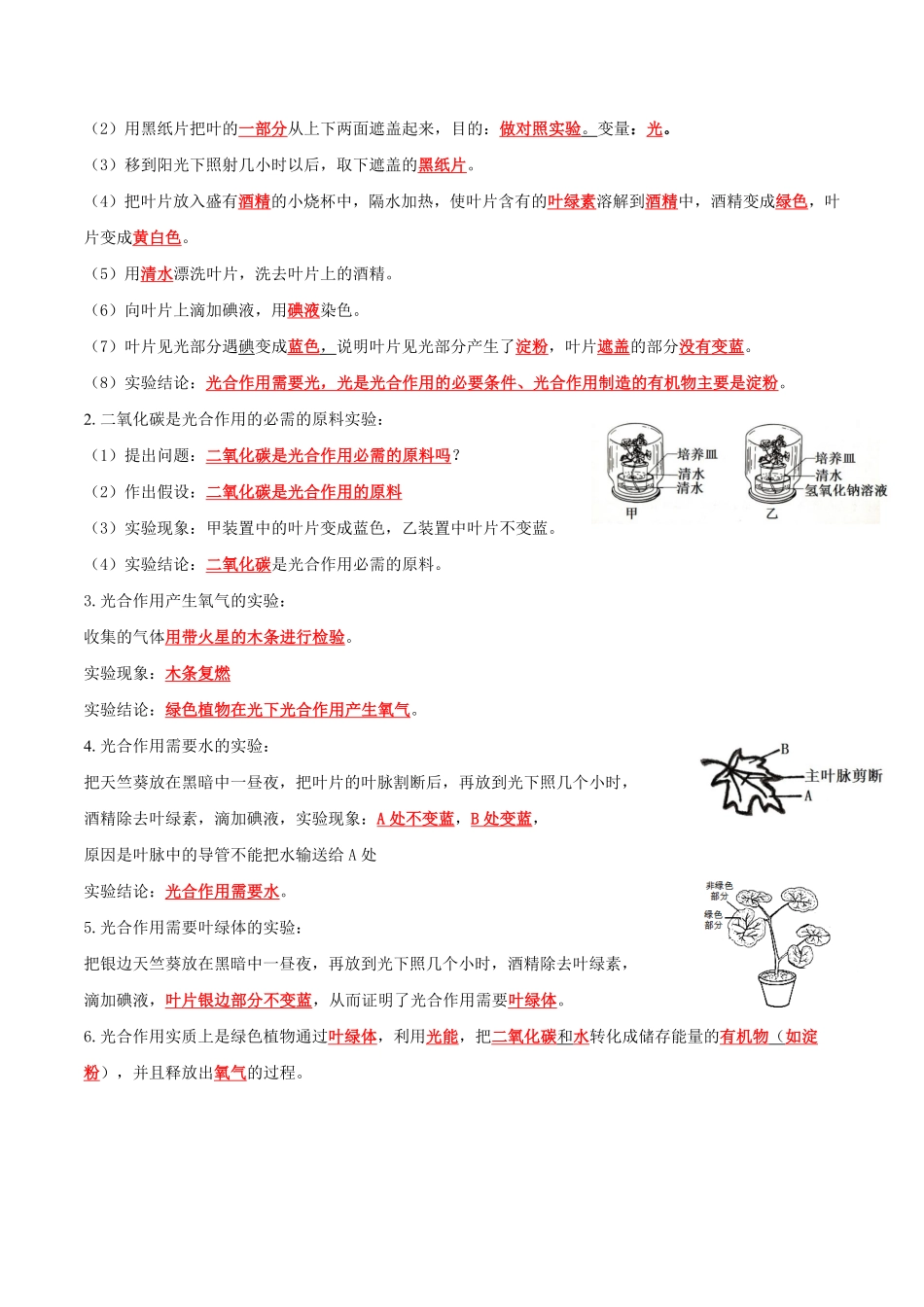专题08绿色植物是生物圈中有机物的制造者（知识清单七年级生物上册期末考点大串讲（人教版含答案.pdf_第2页