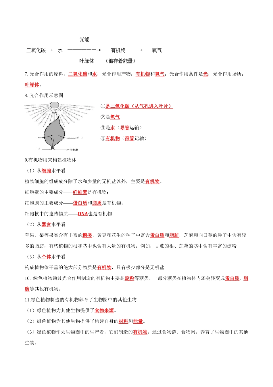 专题08绿色植物是生物圈中有机物的制造者（知识清单七年级生物上册期末考点大串讲（人教版含答案.pdf_第3页