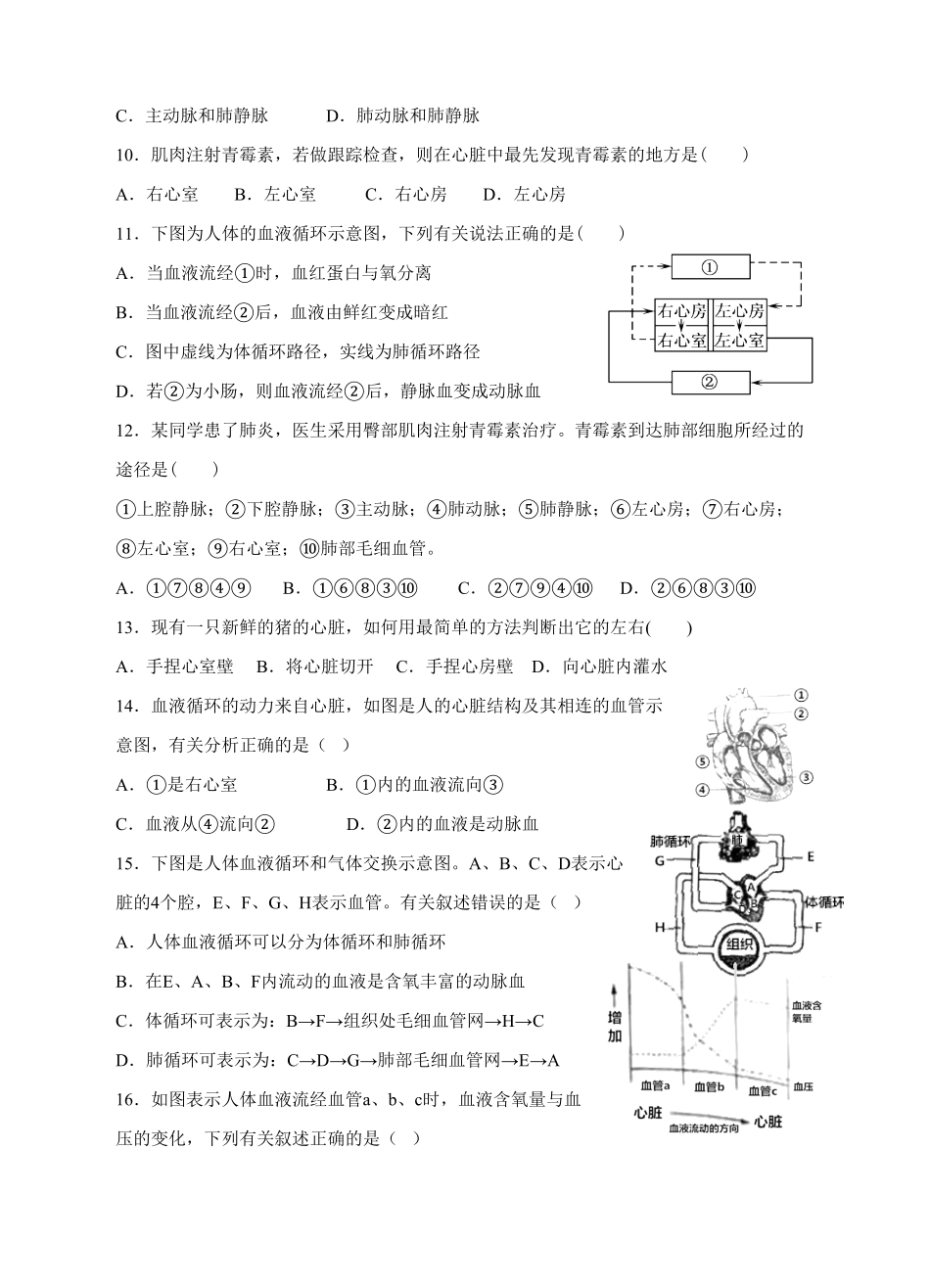 输送血液的泵——心脏同步训练（含答案.pdf_第2页