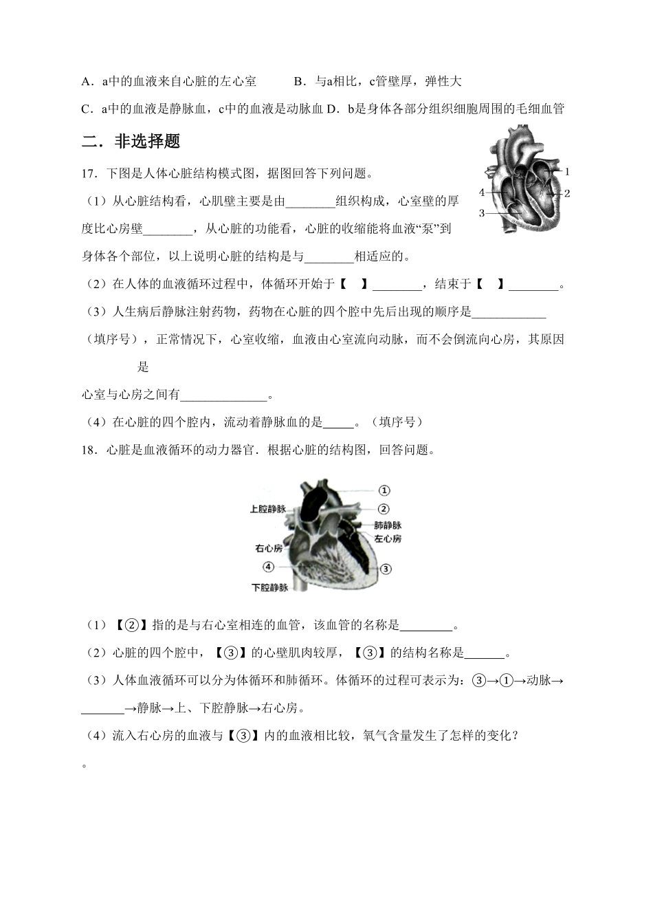 输送血液的泵——心脏同步训练（含答案.pdf_第3页