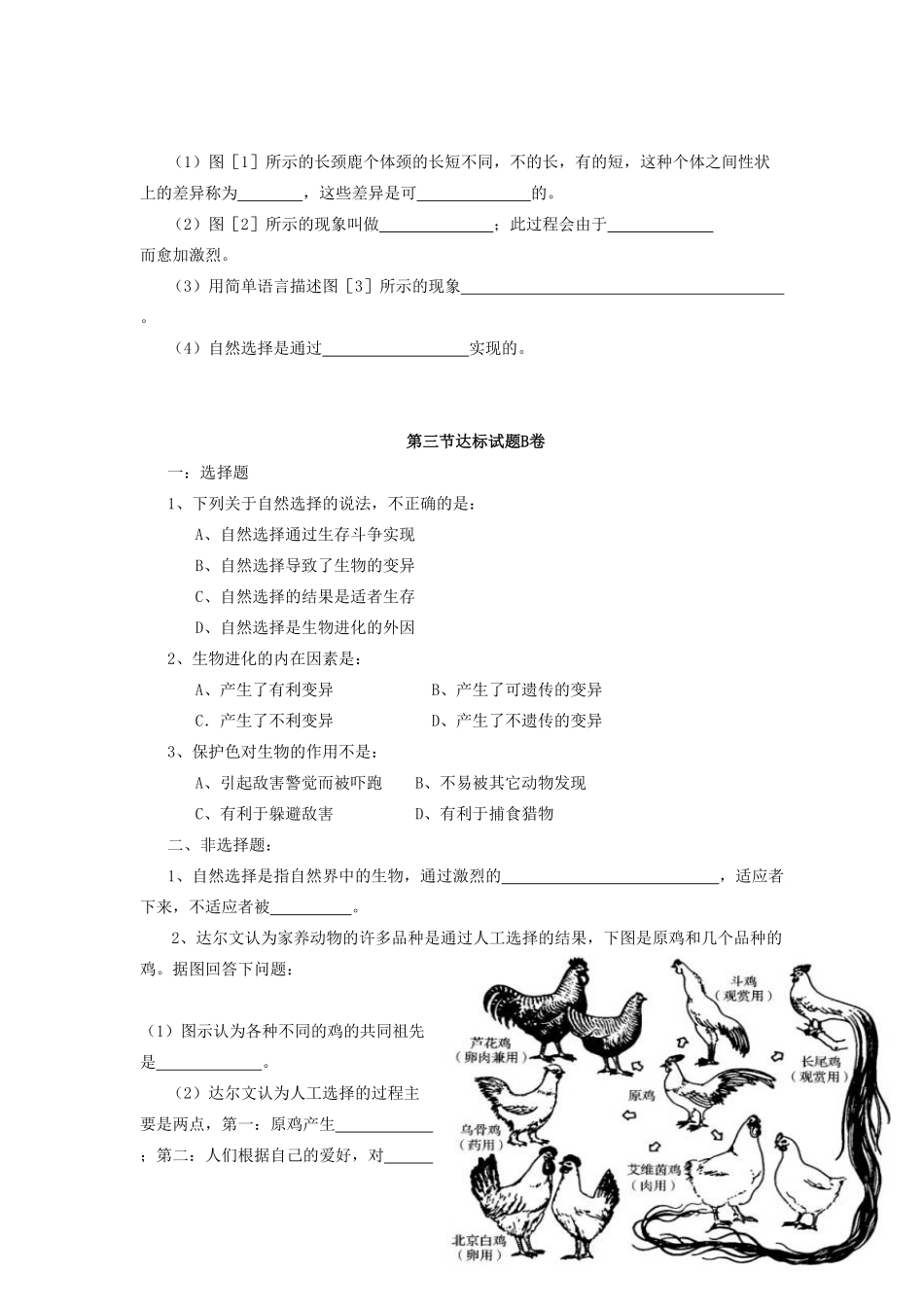 生物进化的原因达标试卷含答案.pdf_第2页