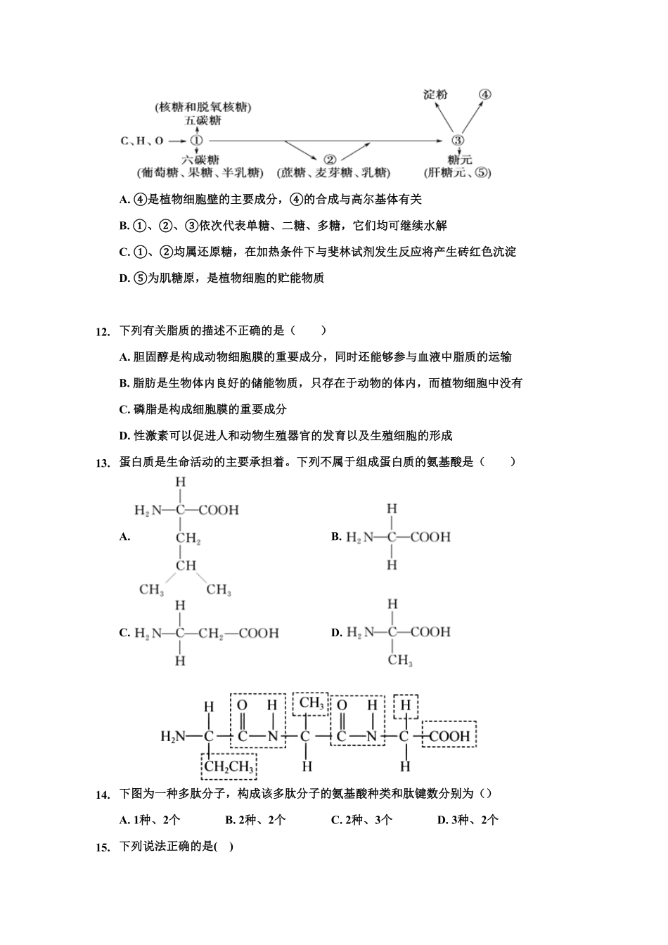 山东省淄博第一中学高一上学期期中模块考试生物试题含答案.pdf_第3页