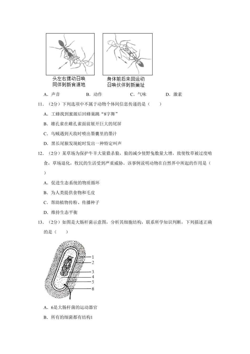 山东省临沂市兰陵县八年级（上册期中生物试卷.pdf_第3页