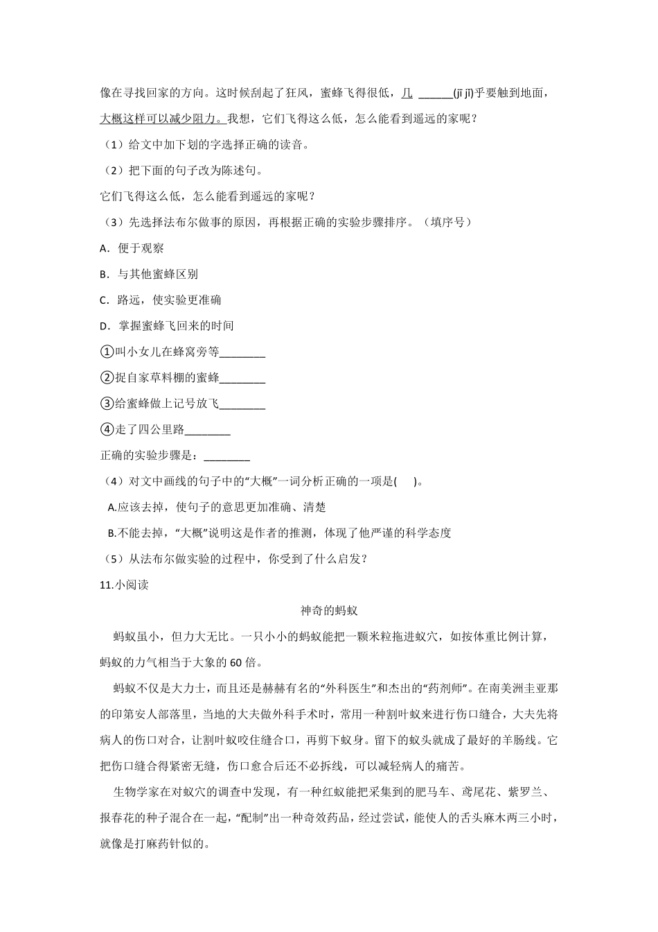 三年级下册语文部编版《蜜蜂》课时练习含答案4.pdf_第3页