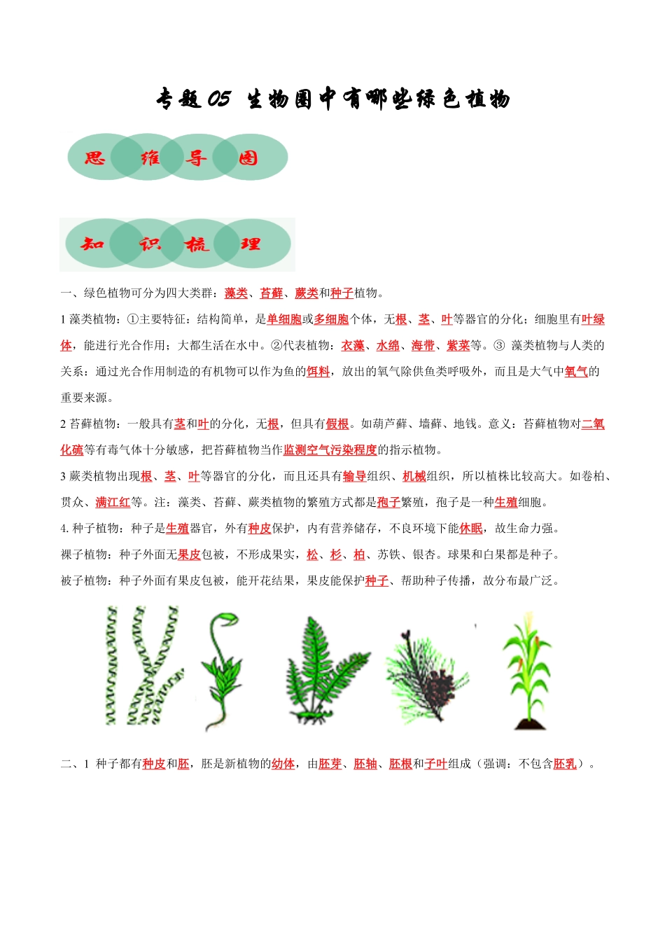 专题生物圈中有哪些绿色植物（知识清单七年级生物上册期末考点大串讲（人教版含答案.pdf_第1页