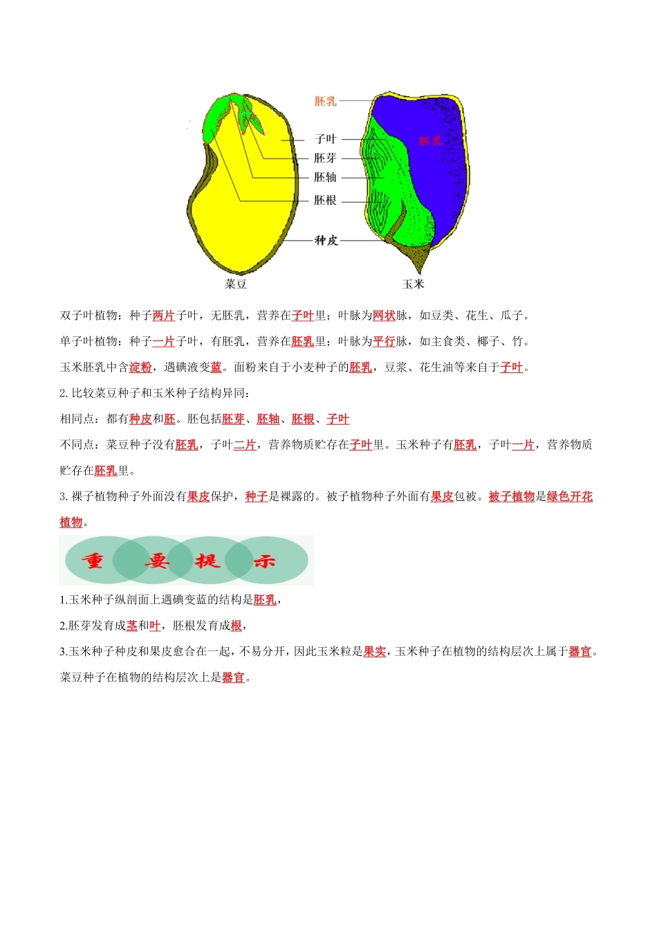 专题生物圈中有哪些绿色植物（知识清单七年级生物上册期末考点大串讲（人教版含答案.pdf_第2页