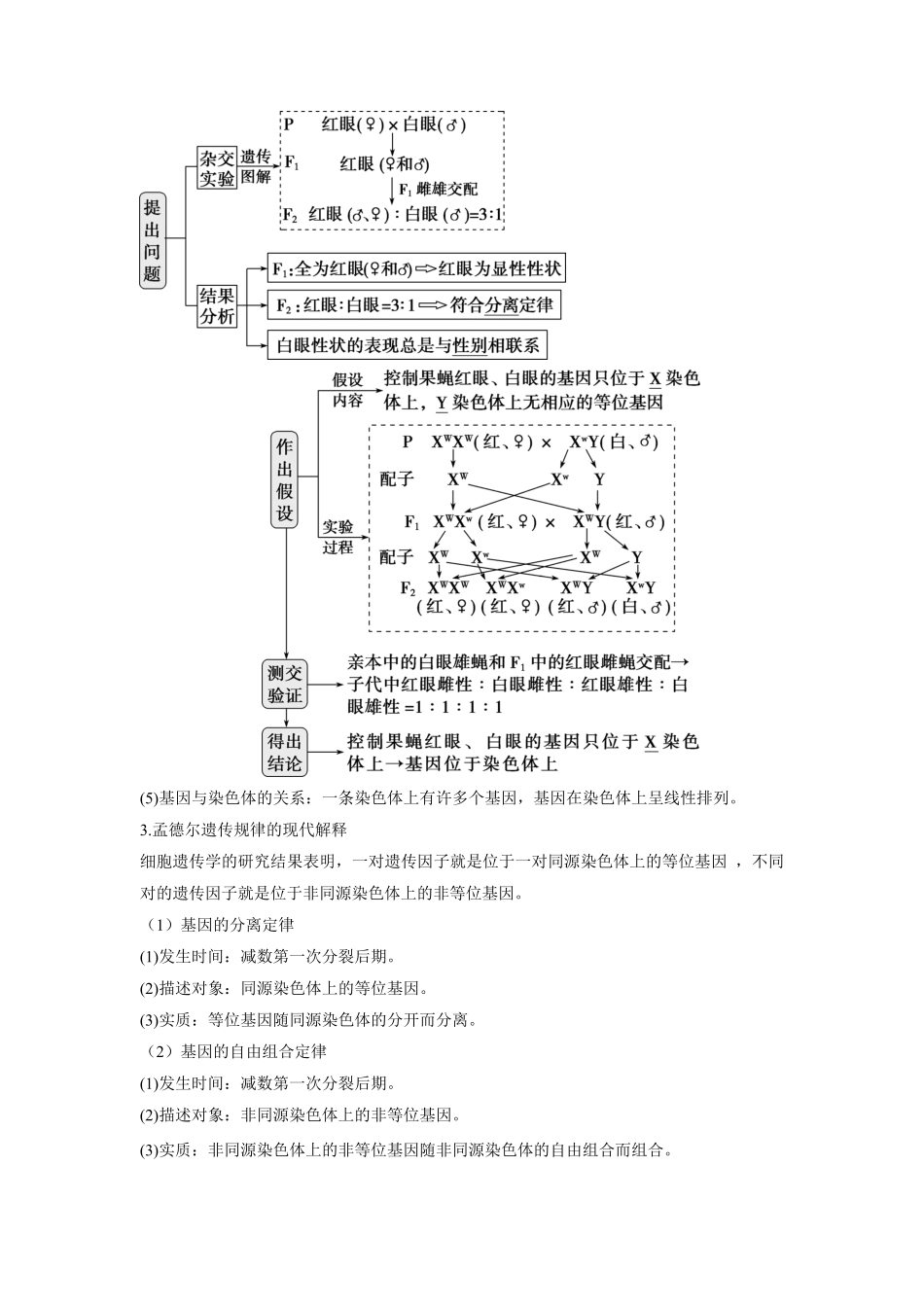 高中试卷-2.2基因在染色体上含答案.pdf_第2页