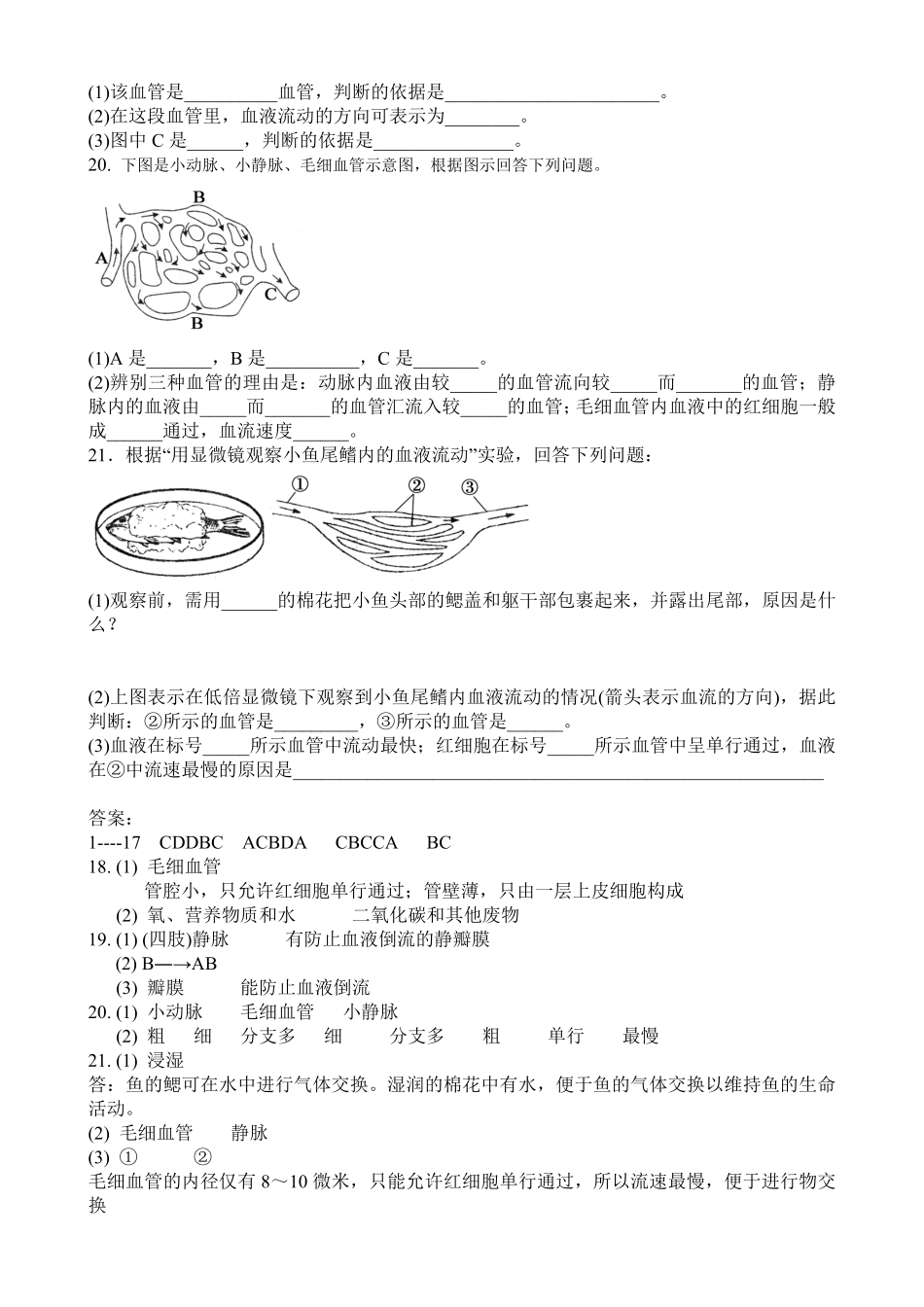 人教版生物七年级下册第四章人体内物质的运输第二节血流的管道—血管同步练课时练试卷含答案.pdf_第3页