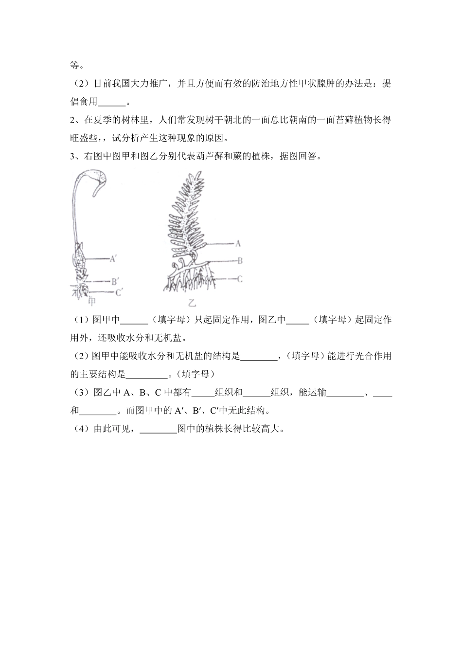 藻类、苔藓和蕨类植物课时练试卷2含答案.pdf_第3页
