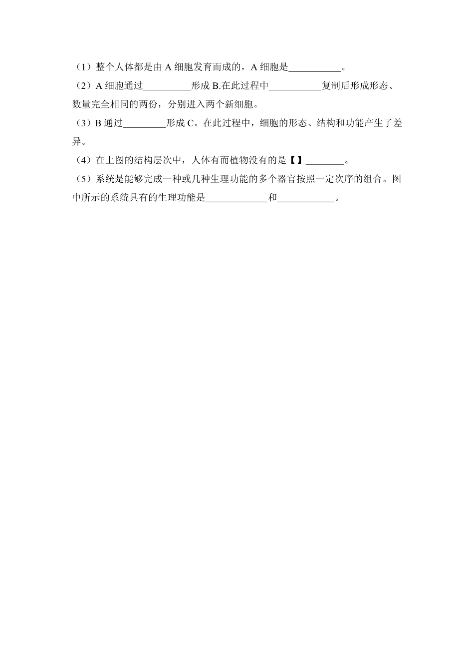 动物体的结构层次课时练试卷2含答案.pdf_第2页