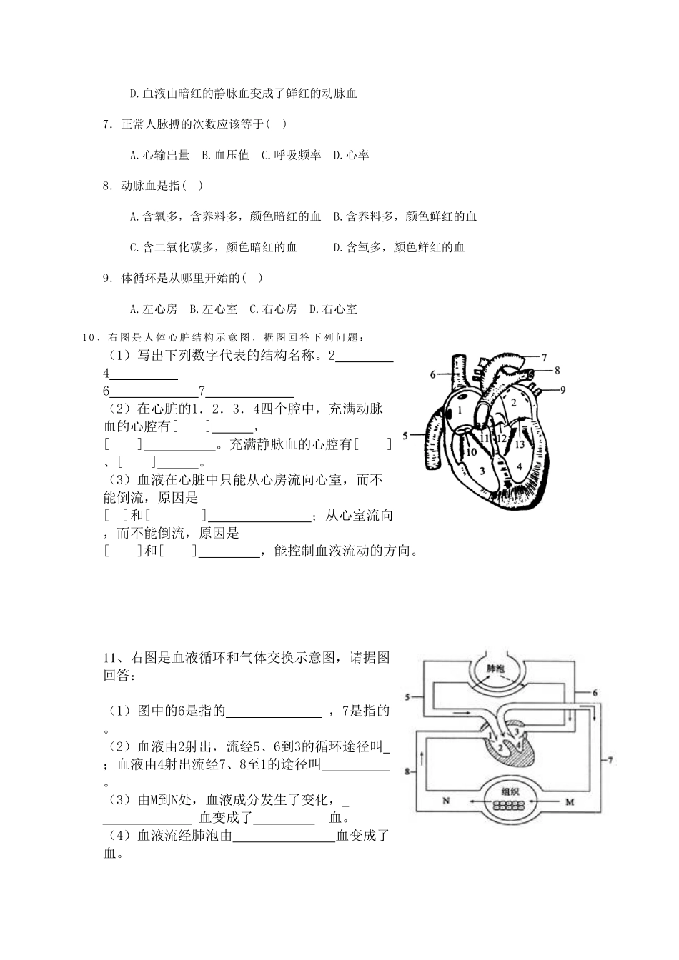 第三节输送血液的泵课时训练含答案.pdf_第3页