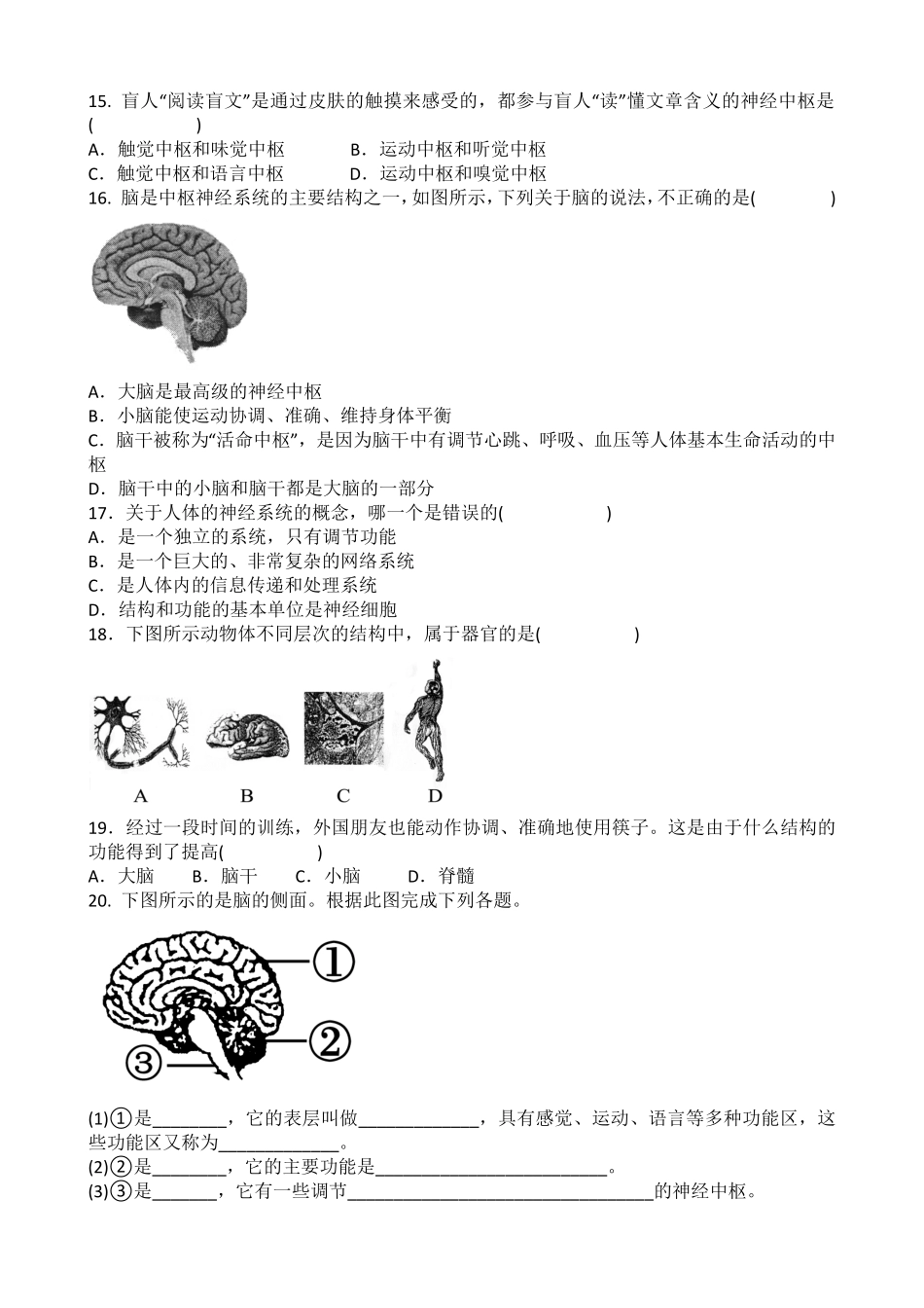 第六章第二节神经系统的组成同步练课时练试卷含答案.pdf_第2页