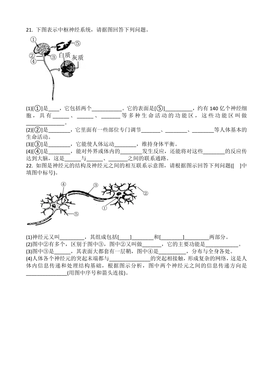 第六章第二节神经系统的组成同步练课时练试卷含答案.pdf_第3页
