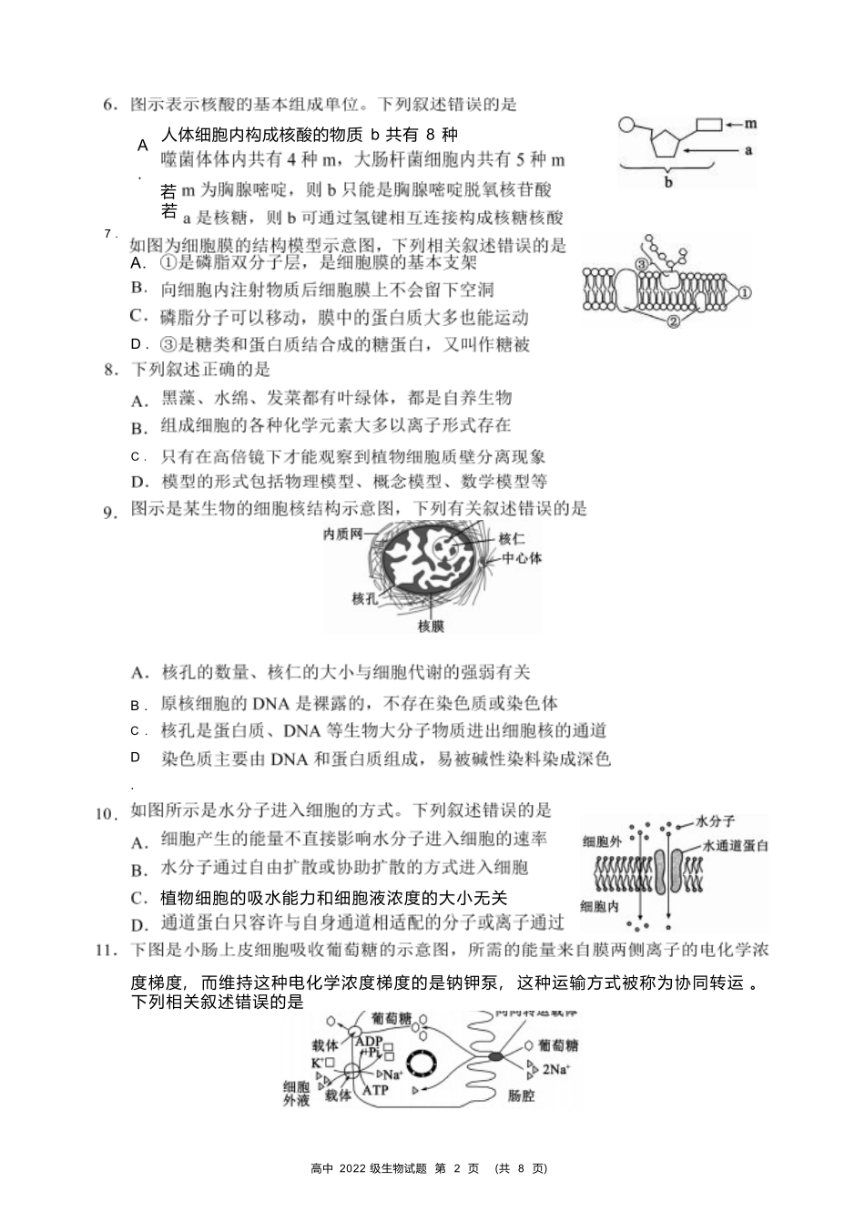 【四川卷】【高二】四川省成都市蓉城名校联盟2023-2024学年高二下学期期末联考(6.17-6.18)生物试题.docx_第2页