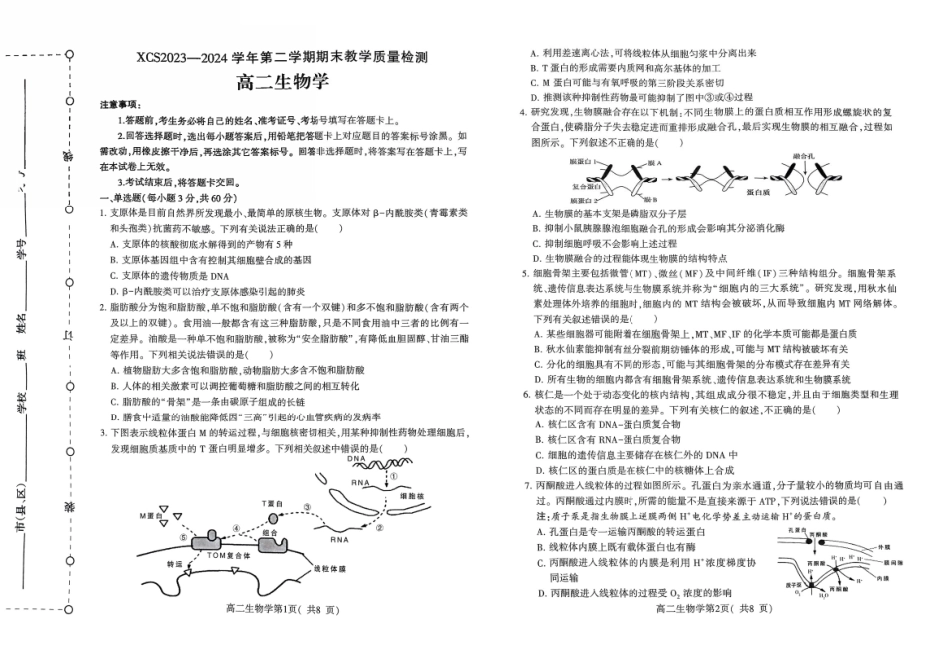 2023-2024学年高二下学期7月期末教学质量检测考试(河南省许昌市)生物试卷.pdf_第1页