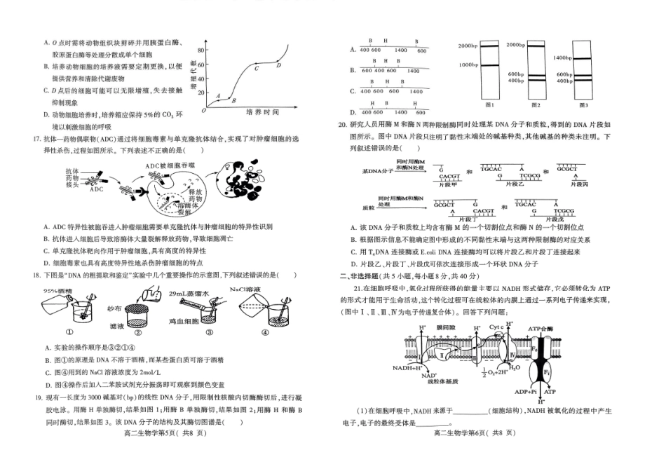 2023-2024学年高二下学期7月期末教学质量检测考试(河南省许昌市)生物试卷.pdf_第3页