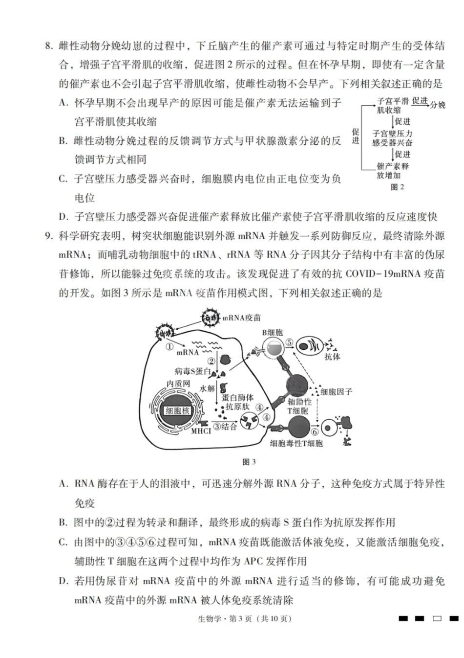 2026届云南三校高考备考实用性联考卷（一）生物试卷+答案.pdf_第3页