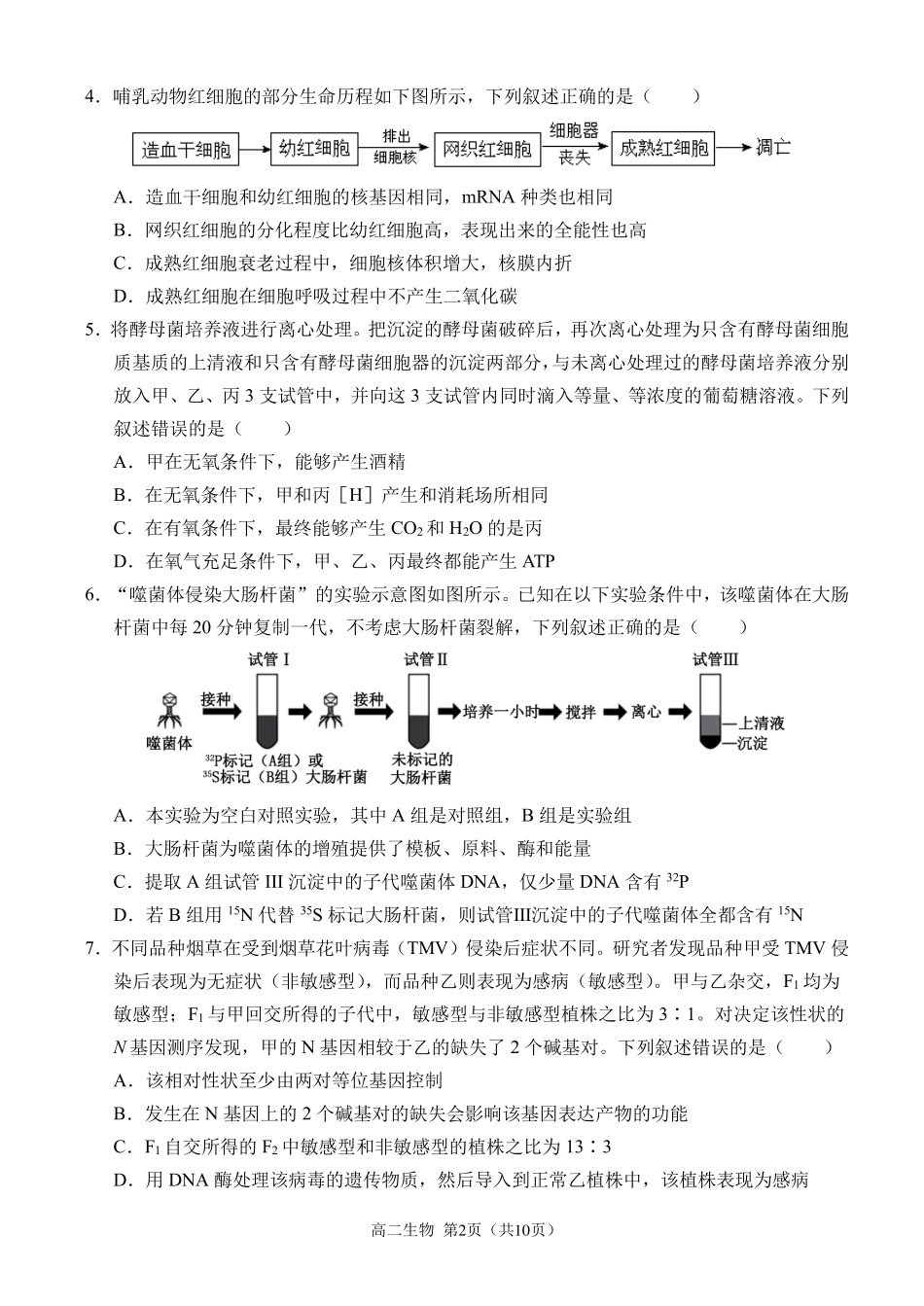 百强中学西南大学附属中学校&重庆第八中学校2023—2024学年高二下学期期末考试生物试卷.pdf_第2页