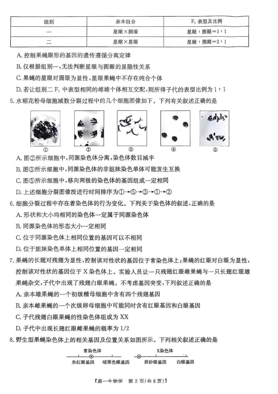 广东省佛山市七校2024-2025学年高一下学期5月联考试题生物含答案.pdf_第2页
